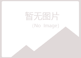 安阳龙安夜山水泥有限公司